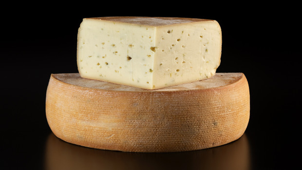 Raclette de Compton (Garlic Scapes) - Fromagerie La Station de Compton